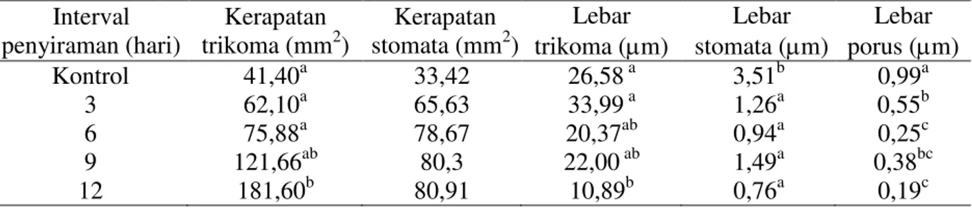 Tabel 1 .  Pengaruh taraf interval penyiraman yang berbeda pada 70 Hari Setelah Perlakuan (HSP)  terhadap anatomi daun terung  
