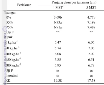 Tabel 3  Rata-rata panjang daun pohpohan pada beberapa tingkat naungan  dan dosis pupuk NPK 15-15-15 