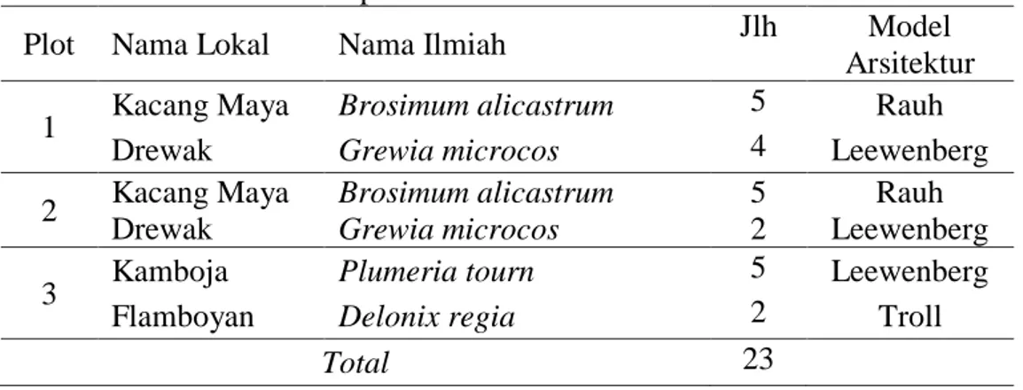 Tabel  4.5.  Model  Arsitektur  Pohon    yang  Terdapat  di  Stasiun  Bagian  Utara  Kawasan  Sumber  Air  Panas  Ie  Jue  Desa  Meurah  Kecamatan  Seulimum Kabupaten Aceh Besar 