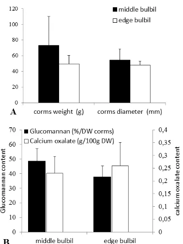Figure 4. Quality of A. muelleri harvested corms planting from different types of bulbils at 90 days after planting: (a) Weight and diameter of harvested cormes and (b) Glucomannan and Calcium oxa-late content
