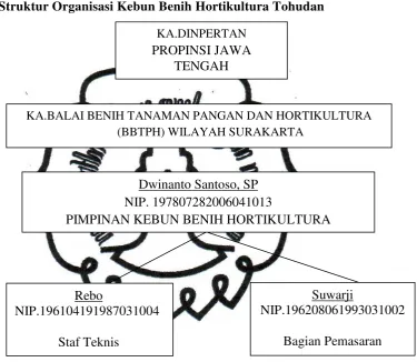 Gambar 4.1 Struktur Organisasi 