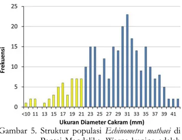Gambar  5.  Struktur  populasi  Echinometra  mathaei  di  Pantai Mandalika. Warna kuning adalah  ukuran  cakram  belum  dewasa,  warna  biru sudah dewasa