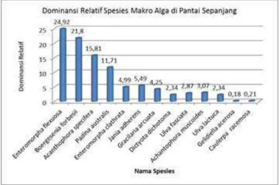 Gambar 2. Dominansi Relatif Spesies Makro Alga di Pantai Sepanjang Gunung Kidul 