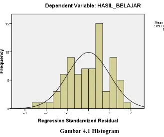 Gambar 4.1 Histogram  