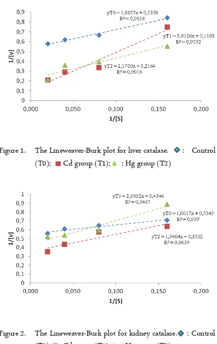 Figure 1.The Lineweaver-Burk plot for liver catalase.  :  Control