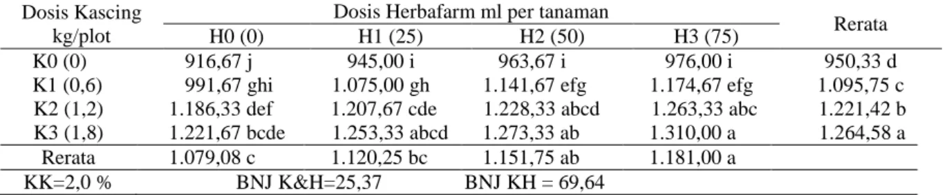 Tabel 3.  Rerata  berat  segar  krop  pada  tanaman  kubis  dengan  perlakuan  kascing  dan  Herbafarm  (gram) 