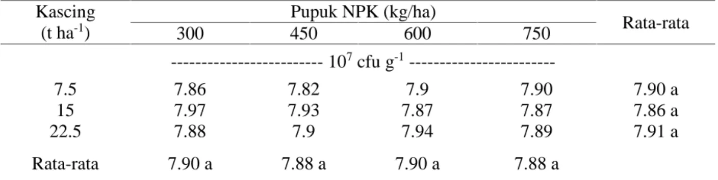 Tabel 1. Pengaruh pupuk kascing dan pupuk NPK terhadap kepadatan bakteri total pada 14 HST