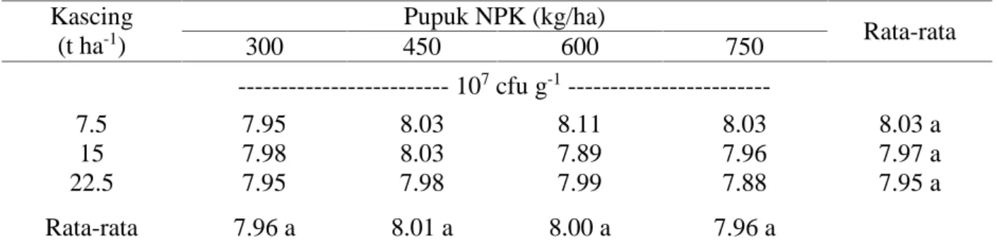 Tabel 2. Pengaruh pupuk kascing dan pupuk NPK terhadap kepadatan bakteri total pada 40 HST Kascing (t ha -1 ) Pupuk NPK (kg/ha) Rata-rata300450600750 ------------------------- 10 7 cfu g -1  ------------------------7.5 7.95 8.03 8.11 8.03 8.03 a 15 7.98 8.