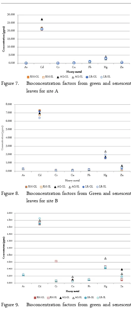 Figure 9. Bioconcentration factors from green and senescentleaves for site C