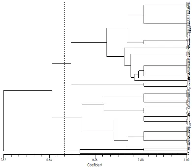 Figure 3. Dendrogram of pulasan in Bogor constructed by the Jaccard coefficient and UPGMA method based on microsatellitedata