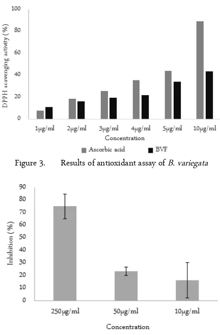 Figure 3.Results of antioxidant assay of B. variegata