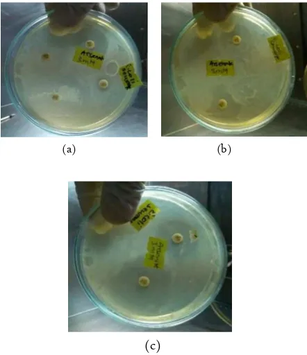 Figure 5. Mueller-Hinton disc-agar diffusion test for antibiotic(c)sensitivity. Discs soaked in particular antibiotic isplaced in a recently inoculated MH agar plate