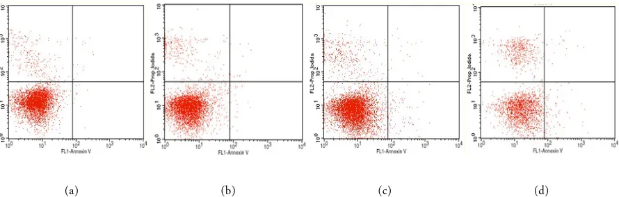 Figure 4. Identification of intracellular calcium level by confocal laser scanning microscope with Fura-2AM Staining