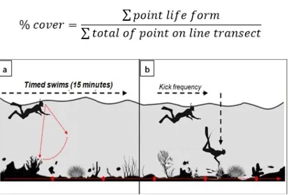 Figure 1. Timed swims and kick frequency