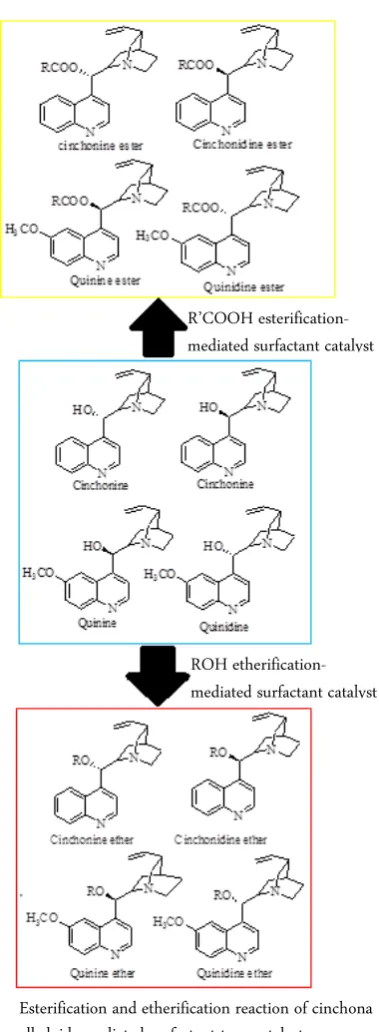 Figure 4. Esterification and etherification reaction of cinchona alkaloids-mediated surfactant-type catalyst 