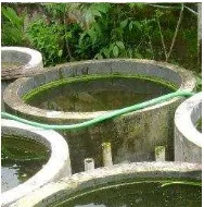 Gambar 2.8 kolam ikan yang berbentuk lingkaran   