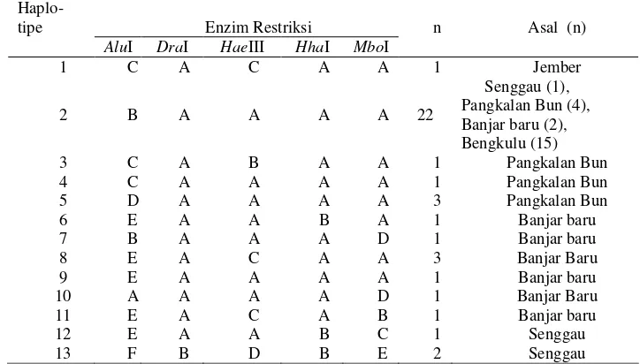 Tabel 1 Pola pemotongan enzim restriksi masing-masing haplotipe 