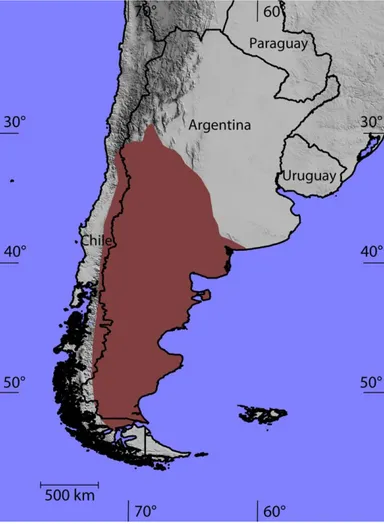 Fig. 4.—Geographic distribution (brown) of Zaedyus pichiy. Map redrawn from Abba and Superina (2010) with modiﬁcations.