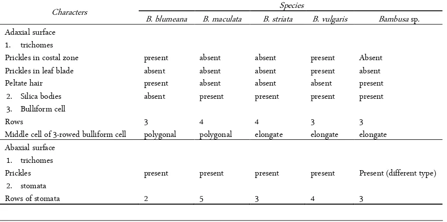Table 1. Comparison of leaf epidermis characters among species of Bambusa 