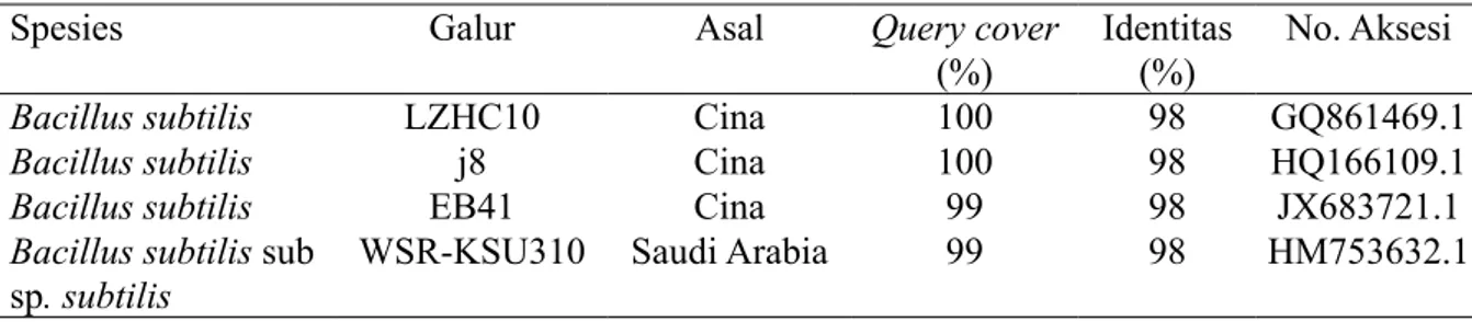 Tabel 1  Tingkat kemiripan basa nukleotida 16S rRNA isolat EB4 451 dengan isolat Bacillus  subtilis yang terdaftar pada GenBank berdasarkan hasil BLAST 