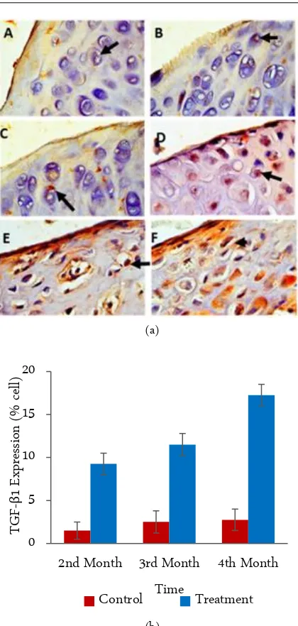 Figure 1. IHC results from the articular cartilage network joint (b) (left panel), photomicrograph at 400×