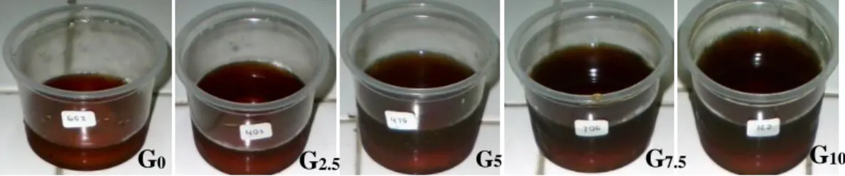Gambar 4. Foto Seasoning Jamur Merang pada Berbagai Jumlah Penambahan Glukosa  