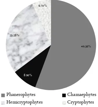 Figure 1.  The composition of plants according to Raunkiaer plant life forms classification 