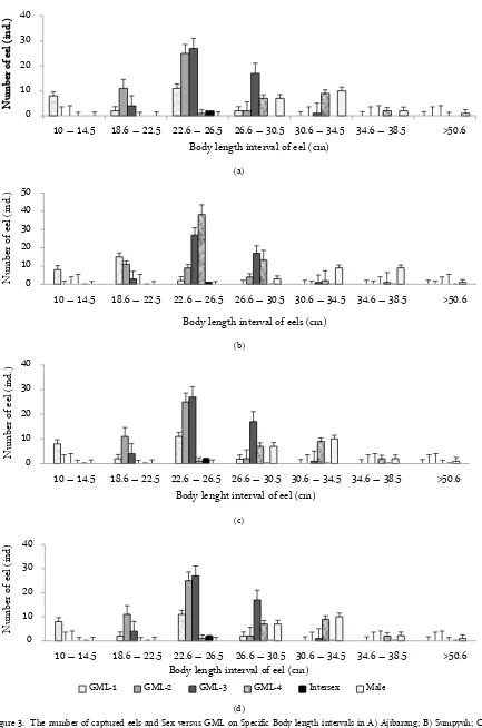 Figure 3. The number of captured eels and Sex versus GML on Specific Body length intervals in A) Ajibarang; B) Sumpyuh; C) (d) Banyumas: and D) Sumbang sub-district 
