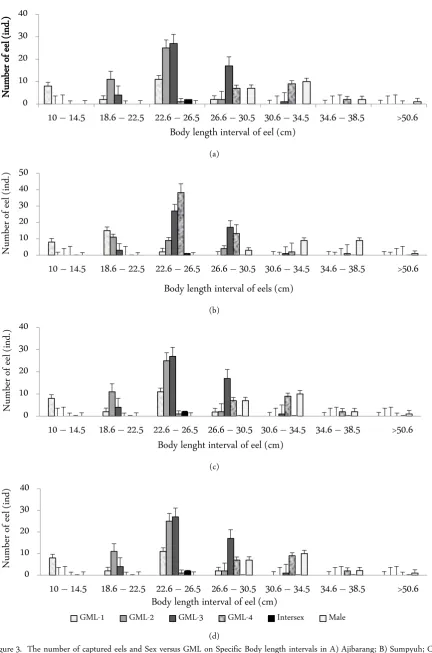Figure 3. The number of captured eels and Sex versus GML on Specific Body length intervals in A) Ajibarang; B) Sumpyuh; C) (d) Banyumas: and D) Sumbang sub-district 