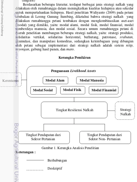 Gambar 1. Kerangka Analisis Penelitian 