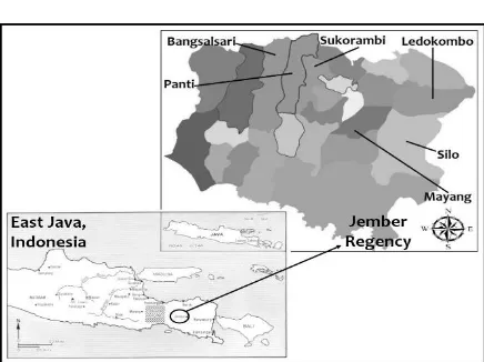 Figure 2.  Map of Jember Regency, East Java, Indonesia 