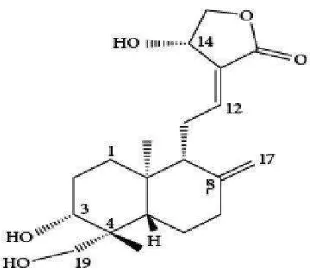 Gambar 1. Struktur kimia andrografolid (DepkesRI, 2008) 