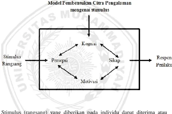 Gambar  2.1:  Model  Pembentukan  Citra  Pengalaman  Mengenai  Stimulus 