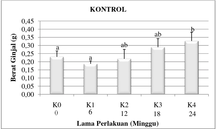 Gambar 4.1 Grafik rata-rata berat ginjal kelompok kontrol (K) disetiap minggu pengamatan