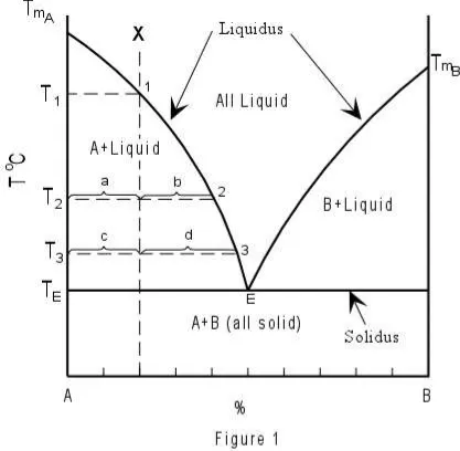 Gambar 1 menunjukkan diagram fase 2 komponen yang paling sederhana. Diagram ini terdiri dari komponen A dan B, dan fase yang mungkin terbentuk adalah kristal murni A, kristal murni B, dan cairan dengan komposisi antara A murni dan B murni