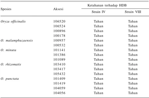 Tabel 2.  Spesies padi liar tahan penyakit hawar daun bakteri (HBD) strain IV dan VIII.