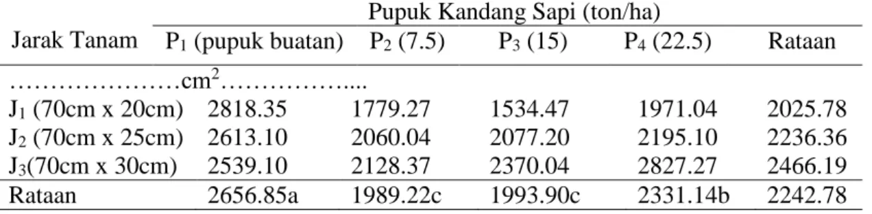 Tabel 4. Luas Daun Jagung Manis Pada Perlakuan Jarak Tanam danPupuk   Kandang SapiUmur 7 MST 