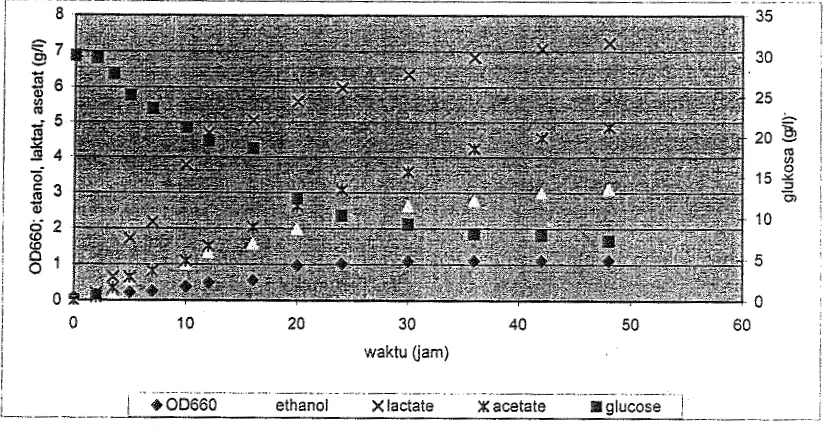Gambar 6. Profil pemmbuhan, penggunaan substrat dan pembentukan produk dari isolat 