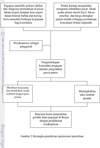 Gambar 2 Kerangka pemikiran operasional penelitian 