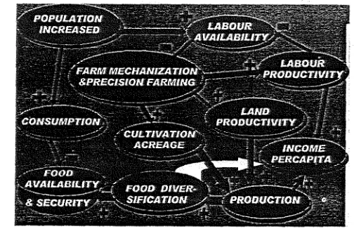 Gambar 1. Causal loop diagram sistem ketahanan pangan (Disederhanakan). 