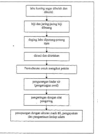 Gambar 1. Diagram alir pernbuatan tepung labu kuning 