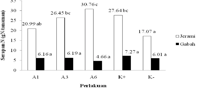 Gambar 3. Respon Serapan nitrogen tanaman padi. Huruf abjad yang sama menunjukkan hasil yang tidak berbeda nyata berdasarkan uji lanjut Duncan Multiple Range Test (α=0.05)
