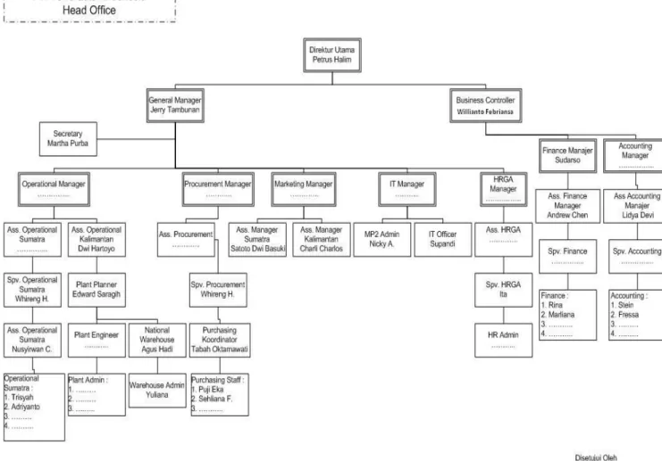 Gambar 3.1 Struktur Organisasi Perusahaan  Sumber : PT Terra Factor Indonesia 