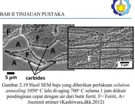 Gambar 2.19 Hasil SEM baja yang diberikan perlakuan solution  annealing 1050 o  C lalu di-aging 700 o  C selama 1 jam diikuti 