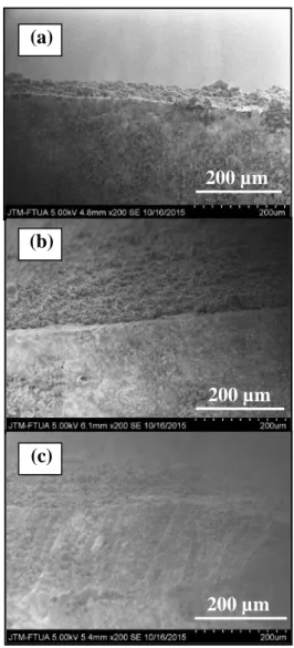 Gambar 3. Hasil SEM Permukaan Coating pada Rasio Binder:HA:Akuades