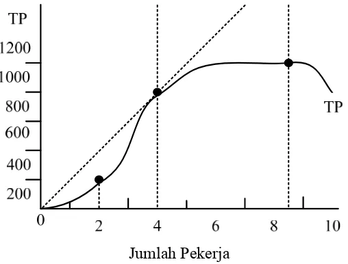 Gambar 4 : Kurva Fungsi Produksi atau Total Produksi 
