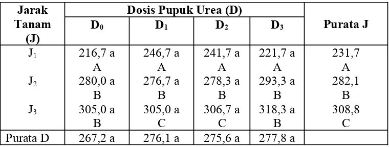 Tabel 5.  Purata Berat 1000 Biji Akibat Perlakuan Dosis Pupuk Urea dan 