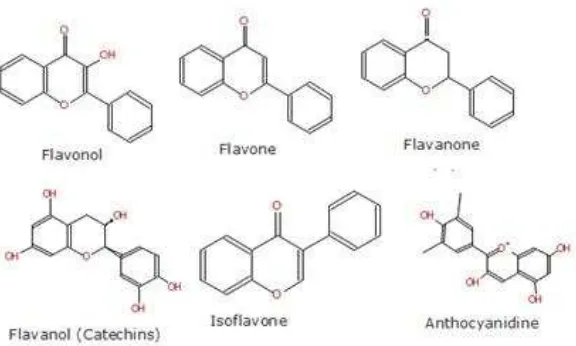 Gambar 2.2 Struktur Flavonoid 
