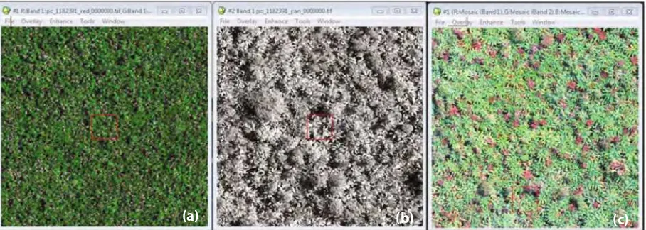 Figure 4. Satellite data fusion; (a) Multispectral, (b) Panchromatic, and (c) Data fusion
