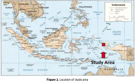 Figure 1. Physical visualization of sago forest environment in West Papua